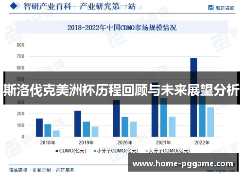 斯洛伐克美洲杯历程回顾与未来展望分析