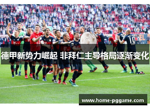 德甲新势力崛起 非拜仁主导格局逐渐变化