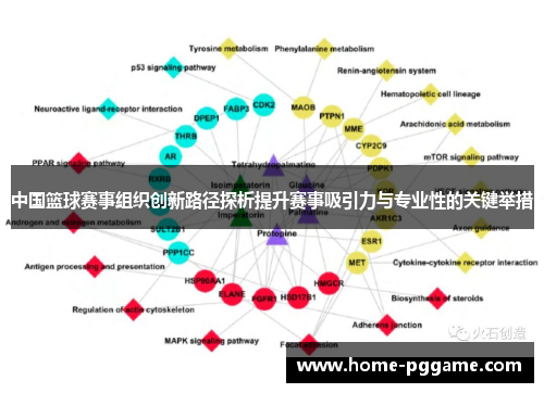 中国篮球赛事组织创新路径探析提升赛事吸引力与专业性的关键举措