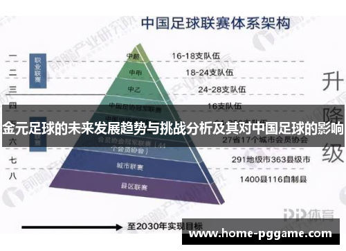 金元足球的未来发展趋势与挑战分析及其对中国足球的影响