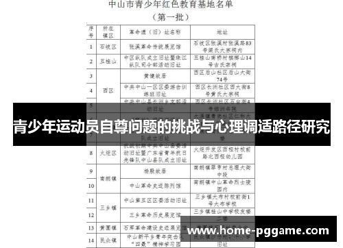 青少年运动员自尊问题的挑战与心理调适路径研究
