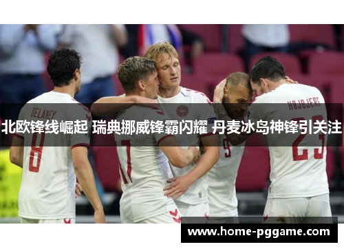 北欧锋线崛起 瑞典挪威锋霸闪耀 丹麦冰岛神锋引关注