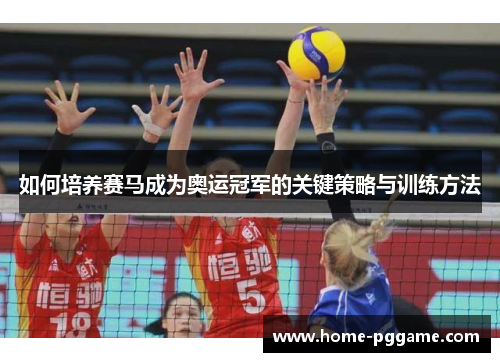如何培养赛马成为奥运冠军的关键策略与训练方法