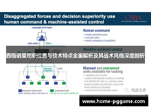 西格诺里司职位置与技术特点全面解析及其战术风格深度剖析